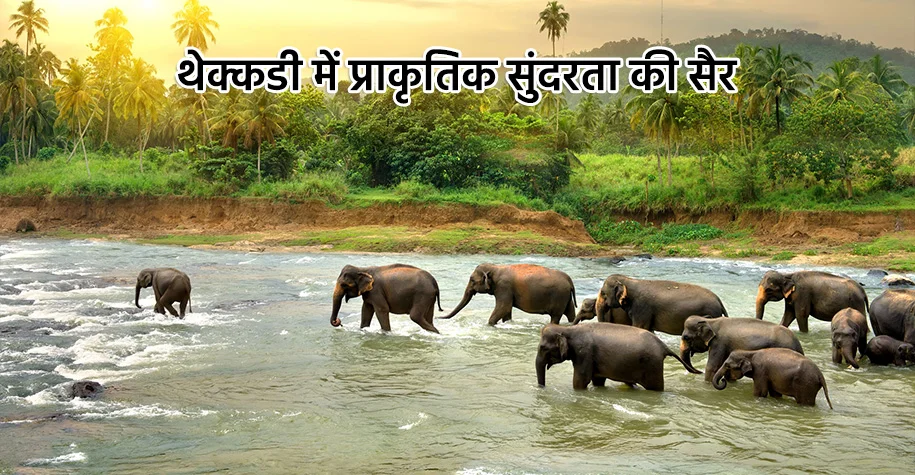 थेक्कडी में प्राकृतिक सुंदरता की सैर